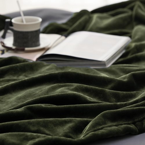 Bedsure GentleSoft Fleece Blanket - Twin Size Olive Green, 300GSM Cozy Plush Blanket for Bed & Travel, 60x80 Inches