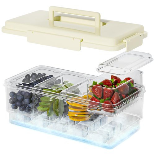 TERGOO Ice Chilled Condiment Caddy with 20 Reusable Ice Cubes, Thickened Condiment Server Tray with Lid for 4 Removable Trays, Portable Snackle Box Container for Bar, Fruit, Salad, Taco, Party Garnish