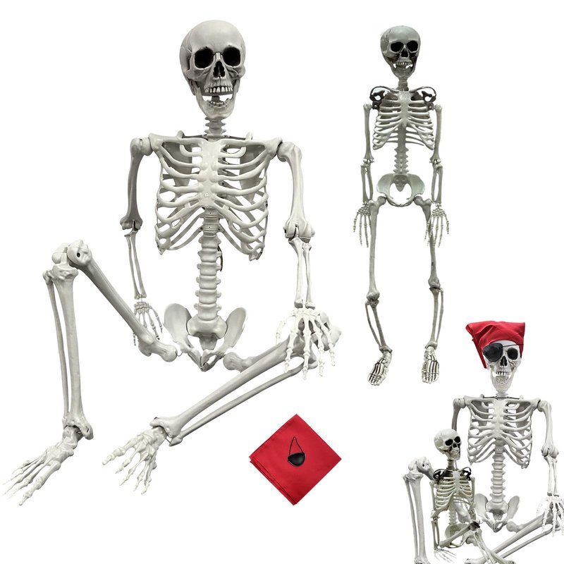 IDMOP 5.4ft/165cm Halloween Skeleton - Life Size Skeleton Full Body Realistic Human Bones with Posable Joints for Halloween Pose Skeleton Prop Decoration (5.4Ft&3Ft)