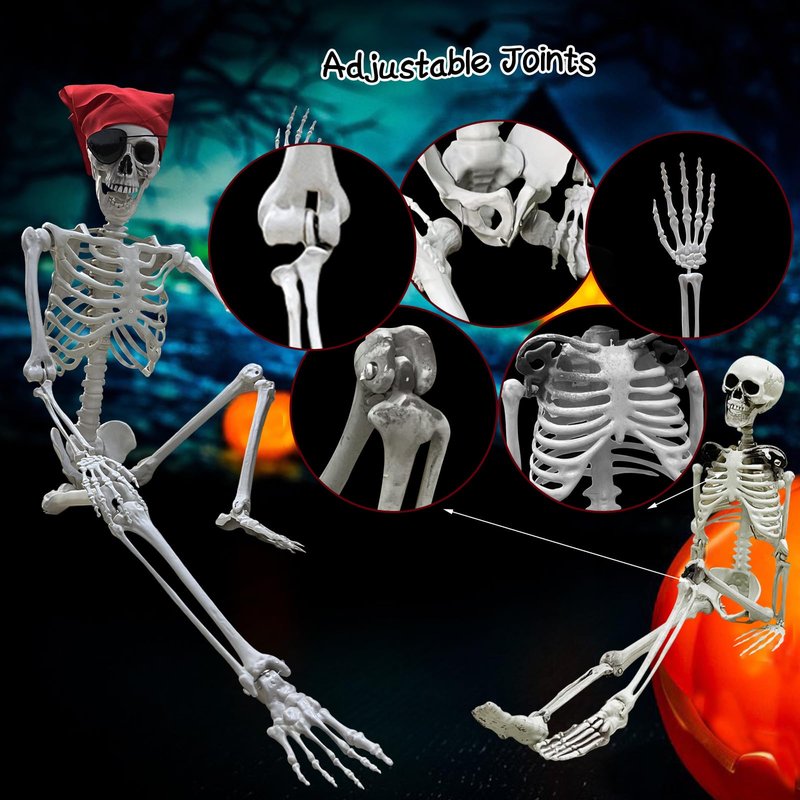 IDMOP 5.4ft/165cm Halloween Skeleton - Life Size Skeleton Full Body Realistic Human Bones with Posable Joints for Halloween Pose Skeleton Prop Decoration (5.4Ft&3Ft)