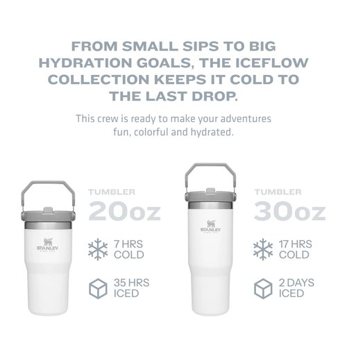 Stanley IceFlow Flip Straw Tumbler with Handle 20 oz | Twist On Lid and Flip Up Straw | Leak Resistant Water Bottle | Insulated Stainless Steel |BPA-Free | Fog