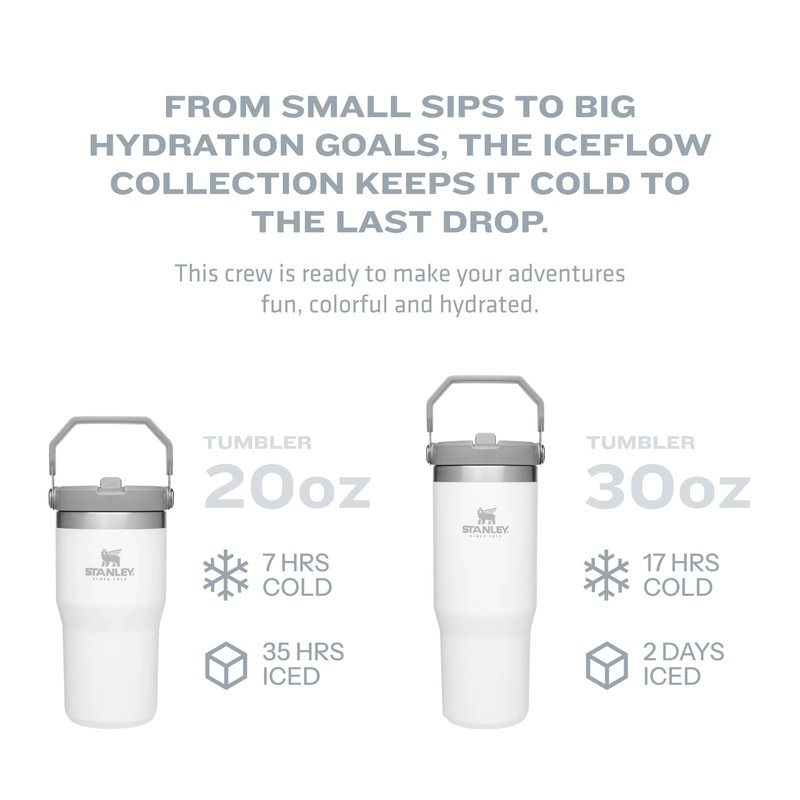 STANLEY IceFlow Flip Straw Tumbler with Handle 30 oz | Twist On Lid and Flip Up Straw | Leak Resistant Water Bottle | Insulated Stainless Steel |BPA-Free | Lapis