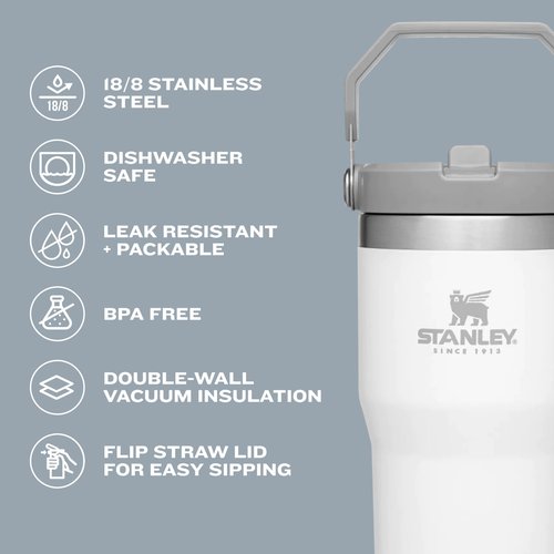 Stanley IceFlow Flip Straw Tumbler with Handle 20 oz | Twist On Lid and Flip Up Straw | Leak Resistant Water Bottle | Insulated Stainless Steel |BPA-Free | Fog