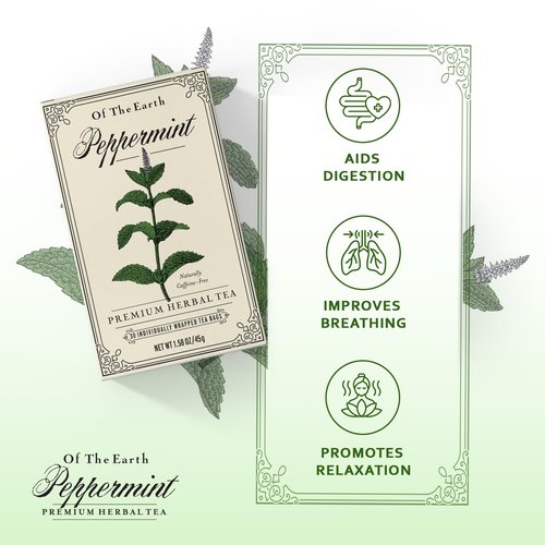 Life Plus Style Gourmet Of The Earth Pure Peppermint Herbal Tea Refreshing Minty & Cool Flavor Non GMO Caffeine Free Eco Conscious 30 Tea Bags Enjoy Hot or Cold