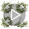 Small Eucalyptus Candle Wreaths, 9.4-Inch Greenery Rings - Set of 4