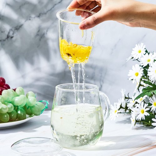 Ritteri Set of 2 Glass Tea Cup with Infuser and Lid - 17.6 oz Thickened Glass Tea Infuser Cup - Simple Filtration for Tea Bags and Loose Leaf Tea