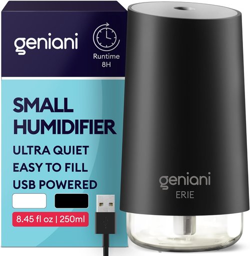 GENIANI Portable Cool Mist Humidifier - USB Powered Desktop Humidifier for Office & Baby Room | Auto Shut Off, Night Light, Black, 0.25L