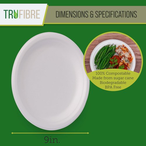 Compostable Bagasse Food Containers - 9" Disposable Paper Plates | Microwave Safe for Parties - 125 Pack