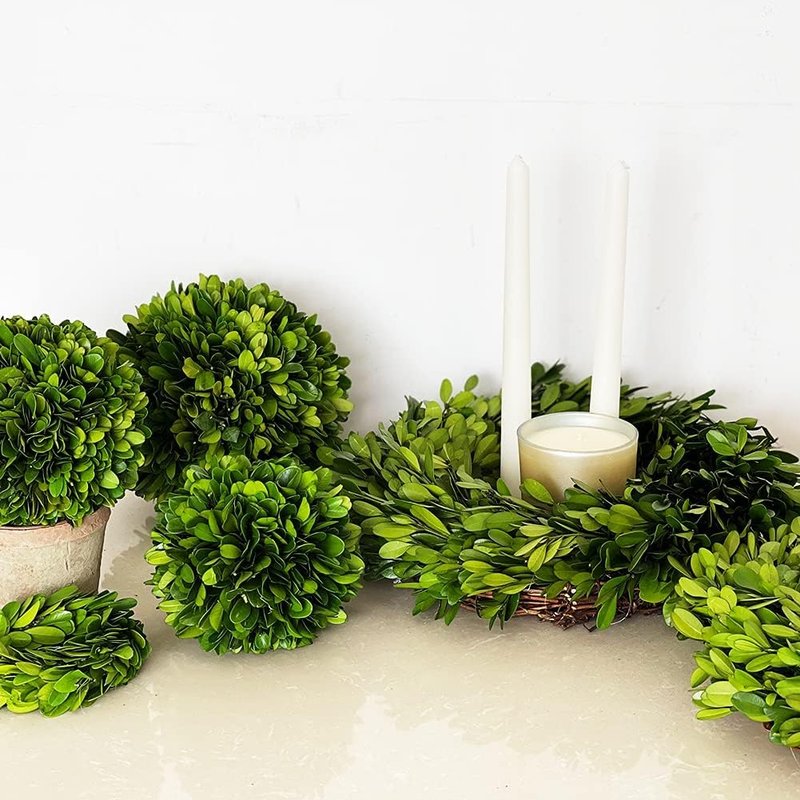 BOXWOOD WORLD Decorative Boxwood Balls for Bowls and Decorative Balls for Centerpiece Bowl Fillers Vase Fillers Home, Kitchen, Living Room Decor (8 inch)