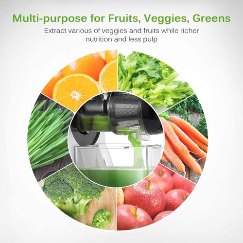Kedemas Portable Hand Juicer,Juicer Machines with Reverse Function,Low Noise Electric Cold Press Juicer, High Juice Yield,BPA Free 150W,Easy to Clean for Vegetables and Fruits -Silver