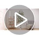 6FT Faux Eucalyptus Tree with Natural Wood Trunk & Planter