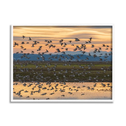 Stupell Industries Flock of Birds Flying Lake Reflection Orange Sunset Framed Wall Art, Design By Nancy Crowell