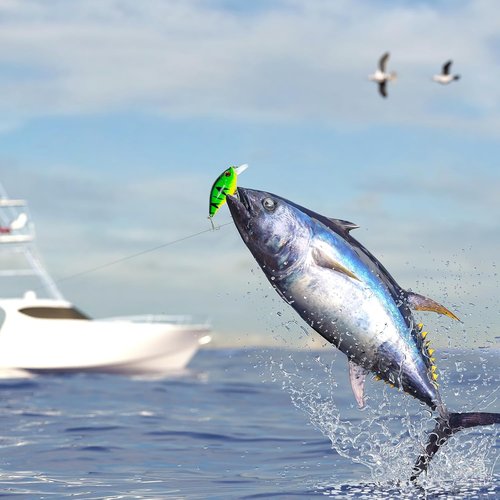 Fishing Advent Calendar 2025 - 24 Days of Premium Fishing Lures | Perfect Gift for Dads and Young Anglers
