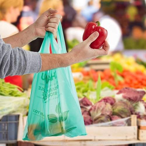 100 pcs Biodegradable Green Tshirt Plastic Bags for Small Business 22" x 12" Thank You Eco Friendly Reusable Grocery Bags with Handles for Restaurant Groceries Supermarket Supplies Retail Store