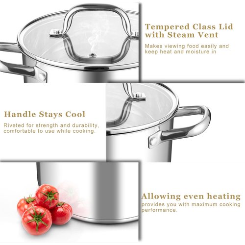 Leonyo Small Stock Pot, 4 Quart StockPot with Visible Lid for Soup Pasta Vegetable, 18/10 Stainless Steel Cooking Pasta Soup Pot for Induction Ceramic Gas Stoves, Tri-Ply Bottom & Dishwasher Safe