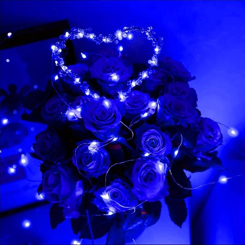 LAMPHOME Fairy Lights - 6 Pack Battery Operated String Lights | 6.6ft Waterproof Silver Wire for DIY Decor