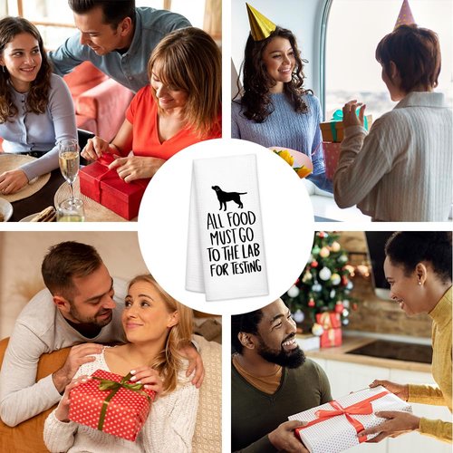 DYJYBMY All Food Must Go to The Lab for Testing, Funny Kitchen Towels, 100% Cotton, Highly Absorbent,Kitchen Decor Towel, Neighbor Gifts, Housewarming Gifts for Friend