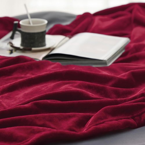 Bedsure GentleSoft Fleece Blanket - Lightweight Plush Cozy Twin Size Red, 300GSM for Home & Travel, 60x80 Inches