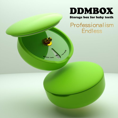 DDMBOX Modern Keepsake Box, Shell-Shaped Design, Waterproof, Sturdy, Flip Top, Green, For Storage
