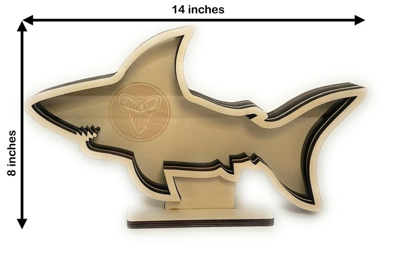 Shark Tooth Display Case XL 14” – Megalodon-Shaped Shark Teeth Holder for Collectors – Wooden Display for Fossilized Shark Teeth – Shark Tooth Holder Coastal Décor by Fossil King
