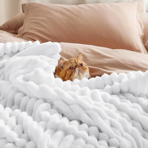 Bedsure GentleSoft Twin Fleece Blanket - Cozy White Throw for Couch, Perfect for Women & Girls, 60x80 Inches