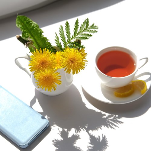 Jovvily Dandelion Leaves - 1 lb - Cut & Sifted - Herbal Tea - Cuisine Garnish