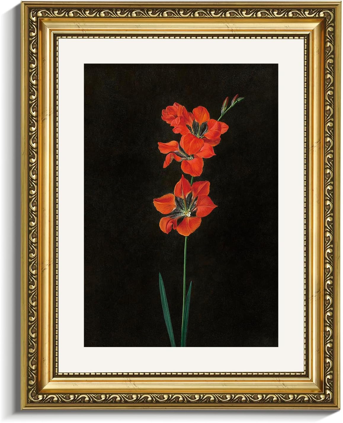 VIYYIEA Gold Framed Wall Art - Red Flower Canvas Print on Black Background | 11x14in Aesthetic Decor