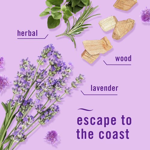 Febreze Odor-Fighting PLUG Air Freshener Refills - Downy April Fresh & Mediterranean Lavender, 4-Pack