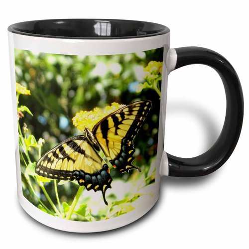 3dRose mug_200105_4 Awesome Yellow Swallowtail Butterfly Photography - Two Tone Black Mug, 11oz