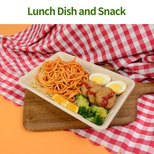 AICHEF 100 Pack 9 x 7 inch Rectangle Paper Plates for Tacos, Pasta, Salads, Pizza Slice, Dessert, 9 inch Disposable Food Trays Camping Picnic Party Use