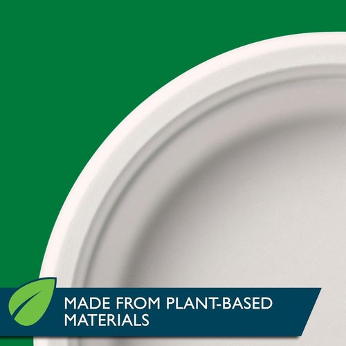 Hefty ECOSAVE Compostable Paper Plates - 10-1/8 Inch, Eco-Friendly, 45 Count