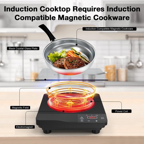 Nafewin Portable Induction Cooktop 1800W,110V Single Burner Induction Burner & Fry Pan, Hot Plate Stove Electric Burner LED Touch Control & 4H Timer, 8 Power 8 Temperature Setting for Cooking
