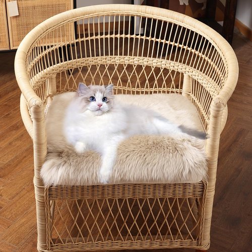 IRIWOOL Square Fur Sheepskin Chair Cover Seat Cushion Pad Super Soft Area Rugs for Living Bedroom Sofa 18" x 18" (Beige, 18" x 18" (Pack of 1))