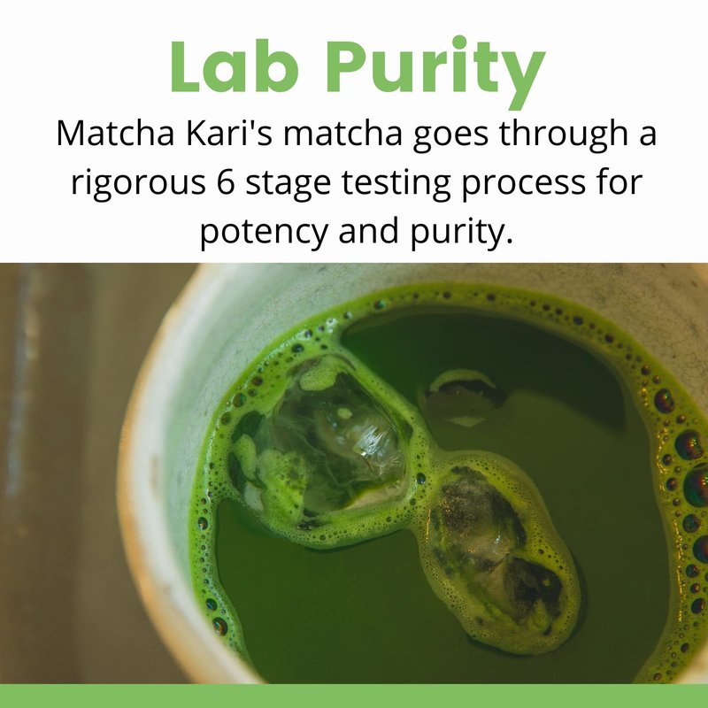 Dr. Weil Matcha Kari Superior Japanese Matcha Green Tea Sticks (2) and 100g Culinary Bundle - Organic Ceremonial Grade Powder Single Serve Packets (24 packets) and 100g Culinary Grade Pouch