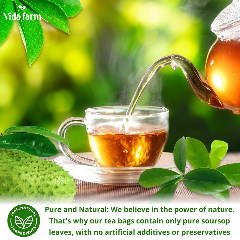 VIDA FARM 75 Soursop Tea Bags, 100% Natural Soursop Leaves Tea Bags, Pleasant Taste, Natural Flavor, Caffeine Free, Dried Graviola Leaves Tea, Guanabana Herbal Tea