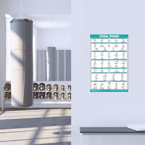 11 Pack Exercise Poster Set - Laminated Workout Guides for Dumbbell, Kettlebell, Yoga & More | 18" x 24"