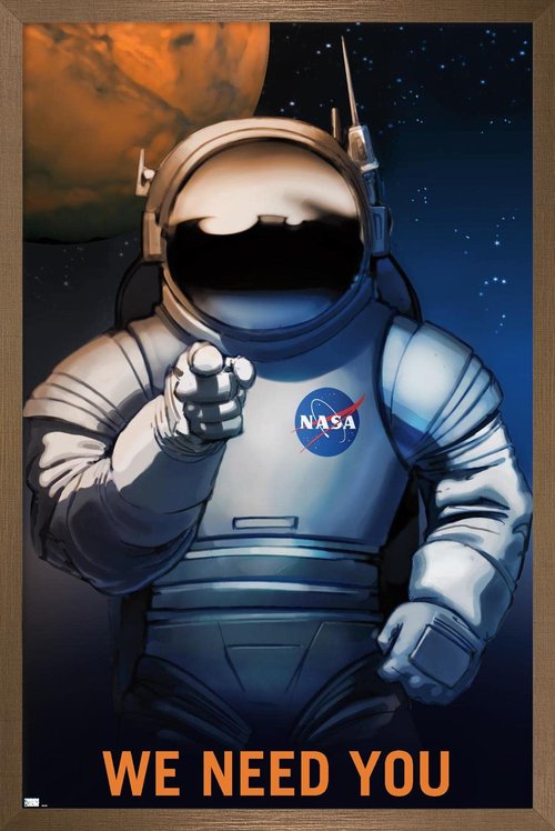 NASA - We Need You Wall Poster, 22.4L" x 14.7W", Bronze Framed Version