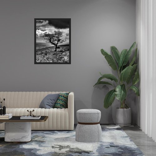 Black 11x14 Picture Frame by [Brand Name] - Versatile Display for 8x10 Photos with Mat or 11x14 Without Mat