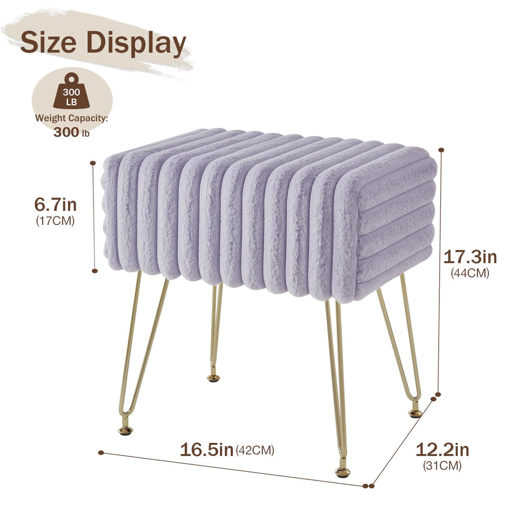 EBENCHICO Vanity Stool Chair with Storage, Faux Fur Stools for Vanity Makeup, Foot Stool Ottoman with 4 Metal Legs, Small Vanity Bench Seat Chairs for Living Room Bedroom