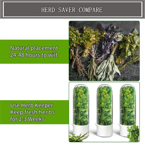 Rkssws Herb Saver for Refrigerator, Cilantro Container for Fridge, Fresh Herbs Lettuce Keeper for Refrigerator Parsley Mint Leaves Fresh Herb Keeper, Refrigerato Storage for Fresh for 2-3 Weeks