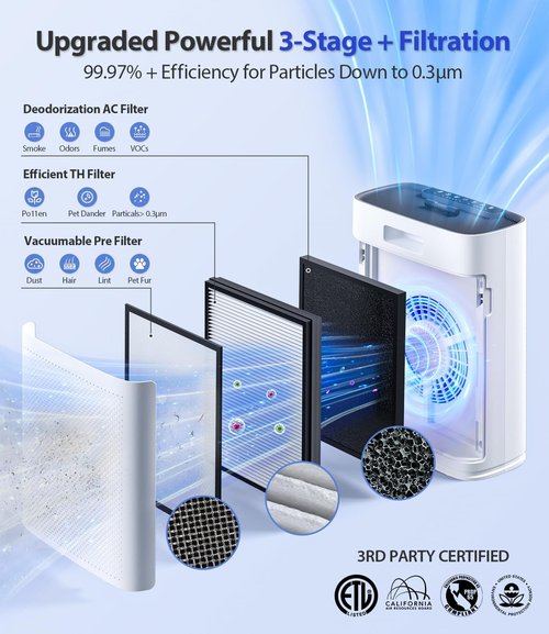 HAP603 Air Purifier by Honeywell - True HEPA Filter, Smart Mode, Aromatherapy | Covers 2400 Ft²