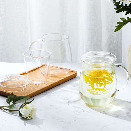 Ritteri Set of 2 Glass Tea Cup with Infuser and Lid - 17.6 oz Thickened Glass Tea Infuser Cup - Simple Filtration for Tea Bags and Loose Leaf Tea