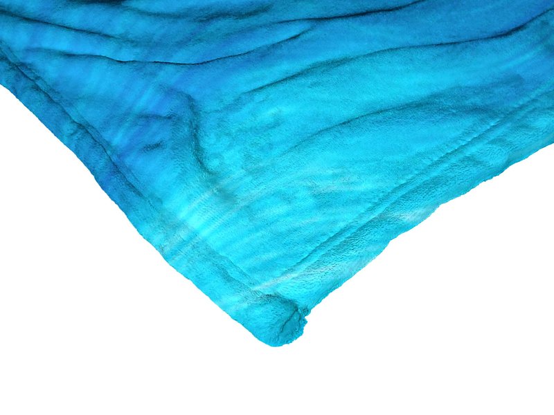 Northwest Monsters Inc Silk Touch Throw Blanket, 50" x 60", Monster Run