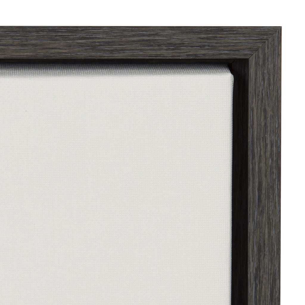 Kate and Laurel Sylvie Haze Agave Succulent Framed Canvas Wall Art by The Creative Bunch Studio, 22x22 Gray, Decorative Succulent Art for Wall