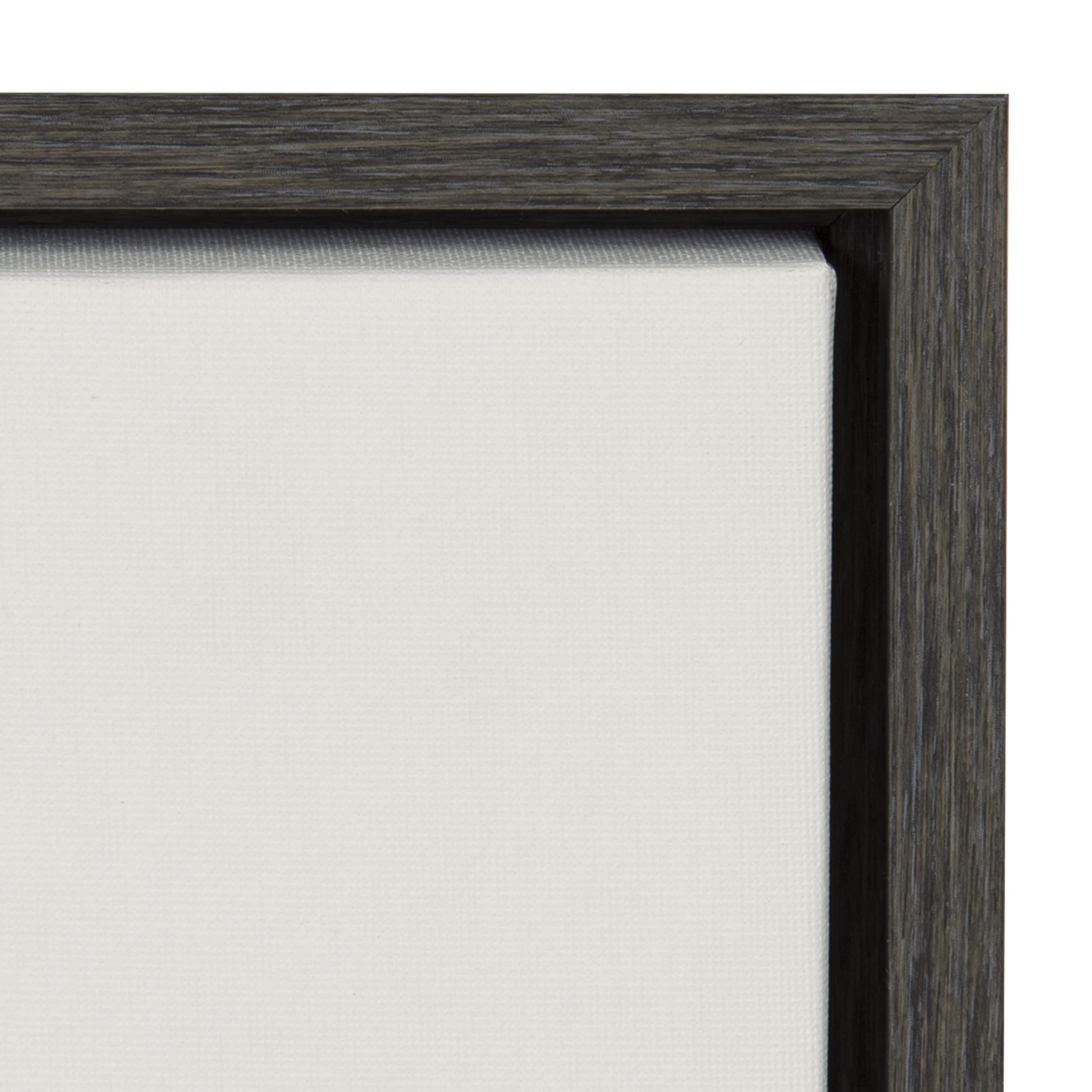 Kate and Laurel Sylvie Haze Agave Succulent Framed Canvas Wall Art by The Creative Bunch Studio, 22x22 Gray, Decorative Succulent Art for Wall