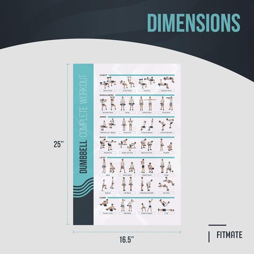 FitMate Dumbbell Workout Poster - Free Weights Routine Guide for Home Gym Decor (16.5 x 25 Inch)