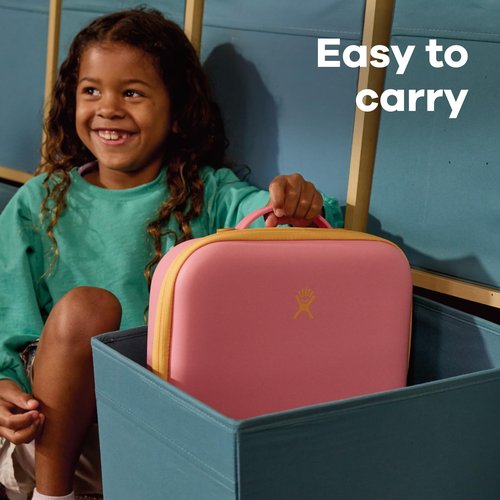 Hydro Flask Lunch Box for Kids - Unisex for Girls or Boys - Insulated Lunch Bag for School in Koala Gray