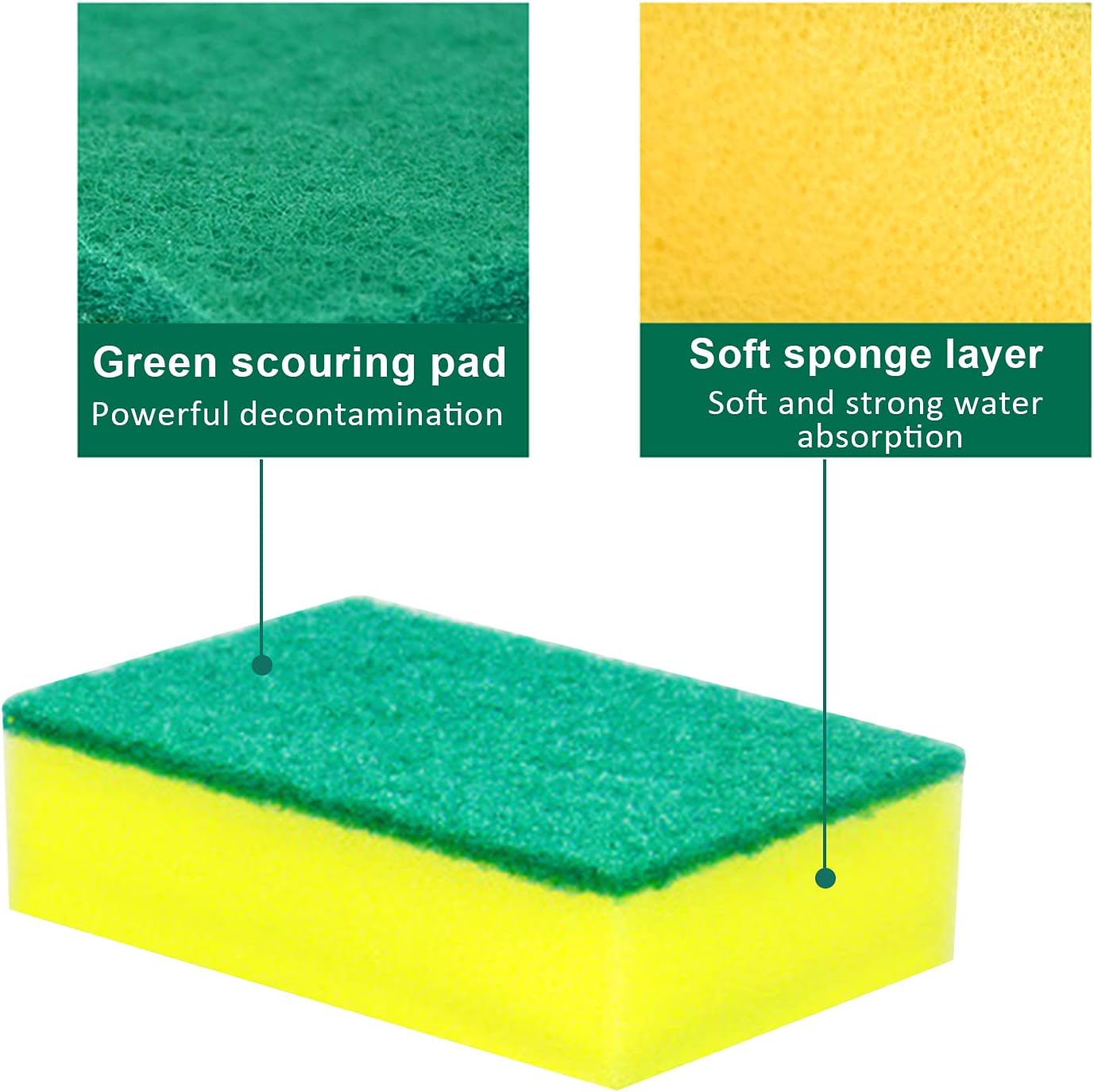 Regine Switzerland Kitchen Cleaning Sponges - 36-Pack Odor-Free Non-Scratch Dishwashing Pads