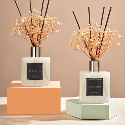 Cocorrína Premium Reed Diffuser Set - Black Forest Scent with Preserved Baby's Breath | 2 Packs, 6.7oz