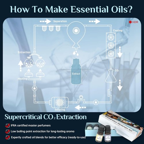 ASAKUKI Essential Oil Diffuser Set - Luxury Travel-Inspired Fragrance Blends | Hotel Haven, Neon & Rain, Hawaiian Aloha, Warm Encounters